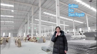 Utilizzo da parte dell'esercito del gabbione per la produzione di barriere Hesco per il ripristino della diga Robusto muro di sostegno