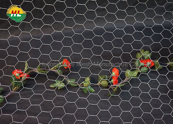 1/2inch Chicken Coop Wire Mesh Low Carbon Steel 0.56mm Wire Diameter